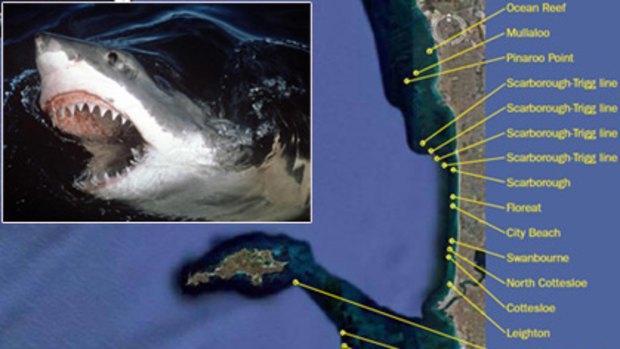 Satellites set to track Great White sharks off WA coast.