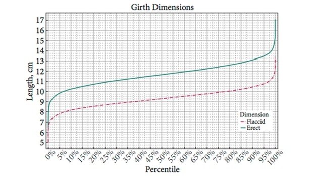 Penis Girth - from the study by British researchers.