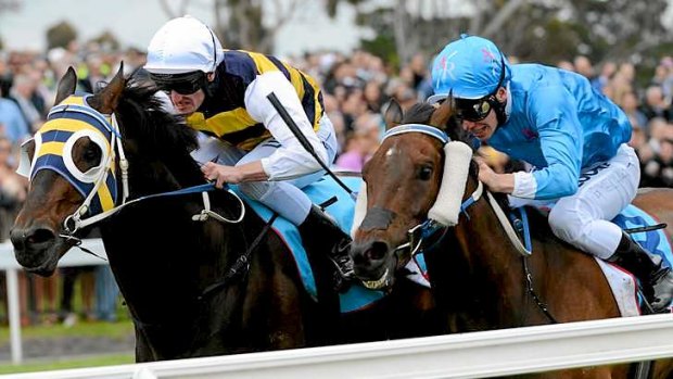 Rubbed out: Ben Melham on Verdant (right), which came second to Ibicenco in the Geelong Cup.