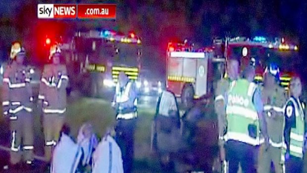 Emergency crews tend to a stunned driver and passengers after their car ploughed into falling livestock.