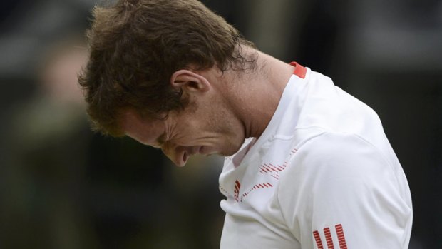 The agony ... Andy Murray.
