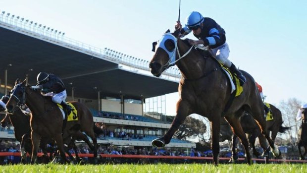 Goodbye Mourinho: The Cleaner wins the Dato Tan Chin Nam Stakes at Moonee Valley on Saturday.