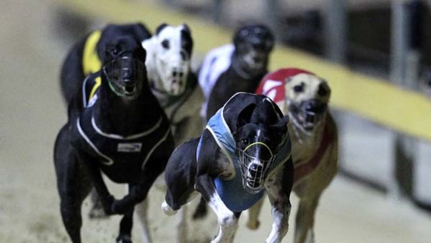 Racing Queensland has announced a plan to decentralise thoroughbred, harness and greyhound racing in the state.