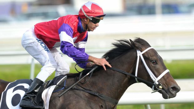 On target: Eclair Big Bang wins the Guineas Prelude last month.