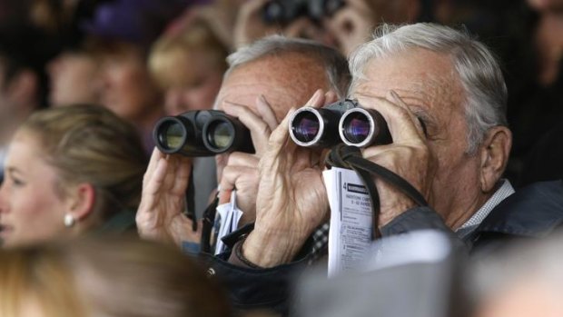 Binoculars in the crowd.