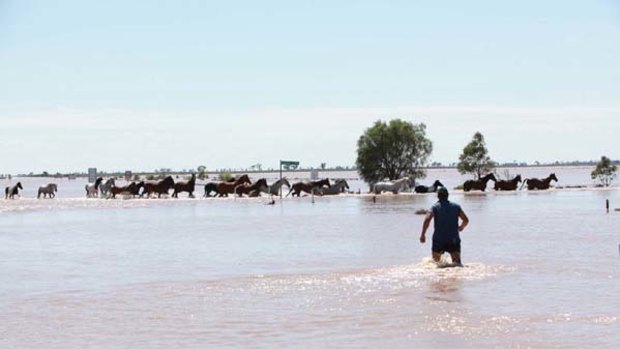 Floods hit Coonamble in NSW in January.