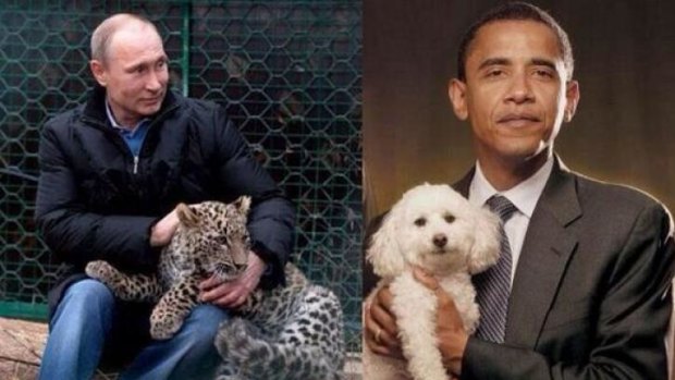 Animal logic: Russia Deputy PM Rogozin tweeted an image of Vladimir Putin with a leopard and Barack Obama with a poodle. 