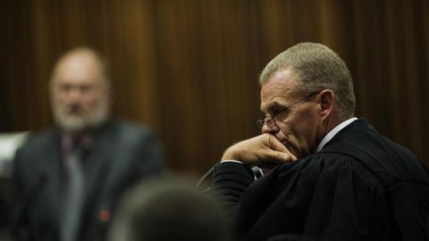 "It seems the skill you used was wielding a cricket bat": state prosecutor Gerrie Nel (right) questions forensic investigator Roger Dixon.