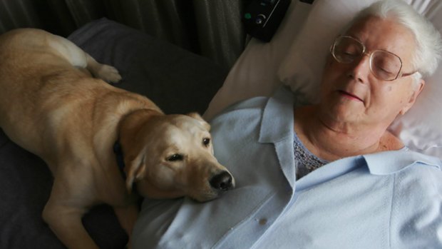 FILE PHOTO: June Middleton photographed last December with her dog, Angel at the Yooralla Ventilator Accomodation in Thornbury, Melbourne.