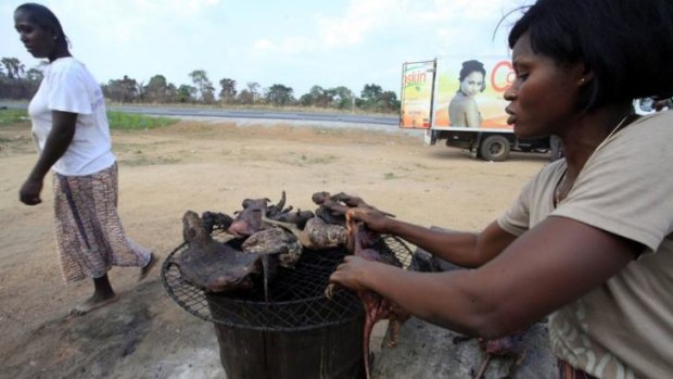 A woman in Ivory Coast dries bush meat near a road in March. 