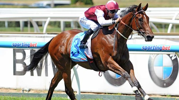 Ground-breaking win: Earthquake leaves the opposition behind in the Blue Diamond Prelude.
