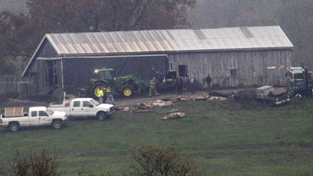 Shoot-to-kill ... most of the animals were killed on Terry Thompson's farm.