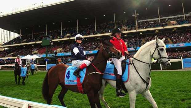 Before the bump: Craig Williams and Green Moon before last year’s Cox Plate.