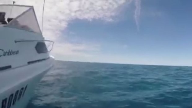 The shark was spotted off Moore River, north of Perth.