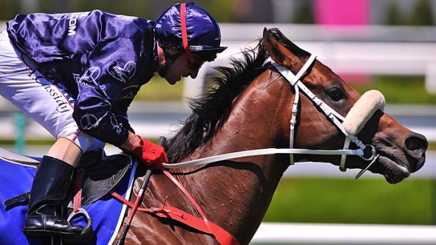 Zoustar came of age during this year's spring carnival.