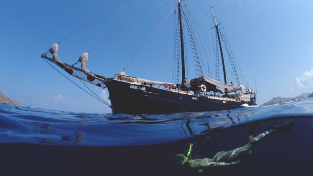 Snorkelling off a sailing ship in the Indian Ocean, Flores, Indonesia.
