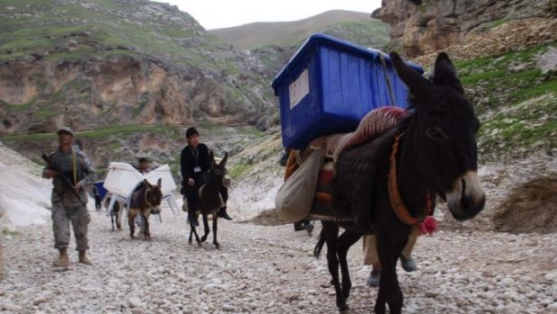 Bearing the load: Donkeys will carry ballot papers back to Kabul from the country's inaccessible areas.