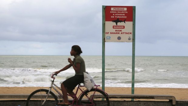 Not without warning ... authorities warn of potential shark attacks in Brazil.