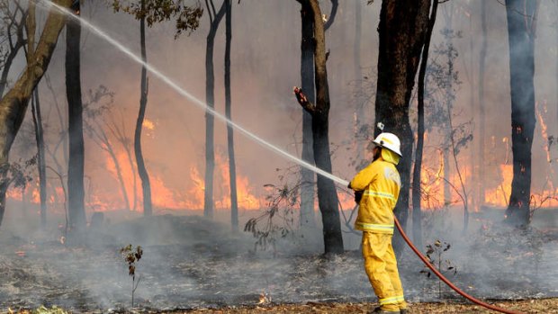 The battle continues: A firefighter tackles a blaze in Winmalee on Saturday.