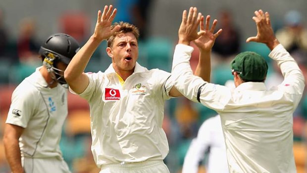 James Pattinson claims the wicket of Dean Brownlie at Bellerive Oval.