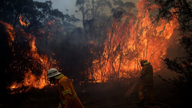 NSW Rural Fire Service crews struggle to contain a bushfire  around the Wentworth Falls escarpment.