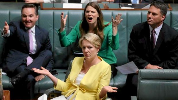 Acting Opposition Leader Tanya Plibersek, Chris Bowen and Kate Ellis remonstrate with Leader of the House Christopher Pyne during Question Time in Parliament House.