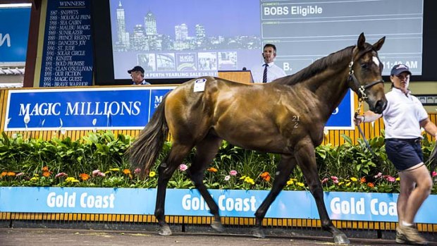 A colt sired by the US's More Than Ready, with Ringa Ringa Rosie for a mother, sold at the Magic Millions for $450 000.