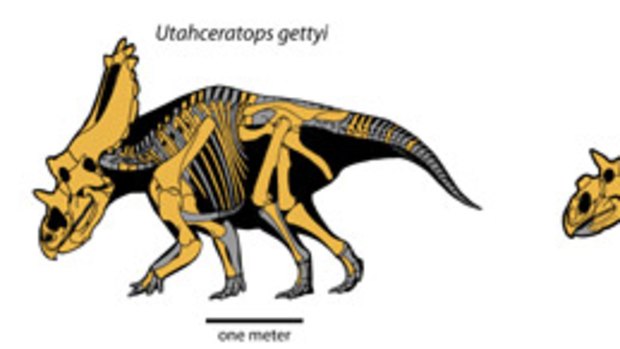 Artist's rendering of two new species of dinosaur - Utahceratops gettyi and Kosmoceratops richardsoni-- discovered in the Grand Staircase-Escalante National Monument of southern Utah.