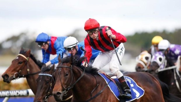 Hallowed turf: Josh Parr wins the Run to the Rose a fortnight ago on Hallowed Crown.  Hugh Bowman takes the ride in Saturday's group 1 at Rosehill.