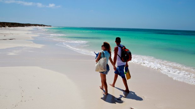 Abrolhos Islands full day tour with Geraldton Air Charters. 
East Wallabi island, Turtle Bay.