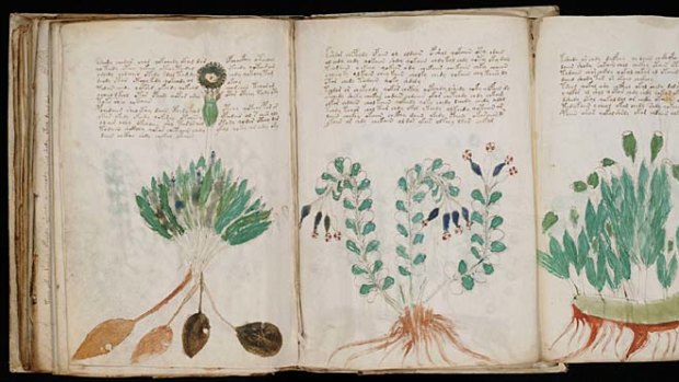 The Voynich manuscript has intrigued and frustrated linguists for centuries.
