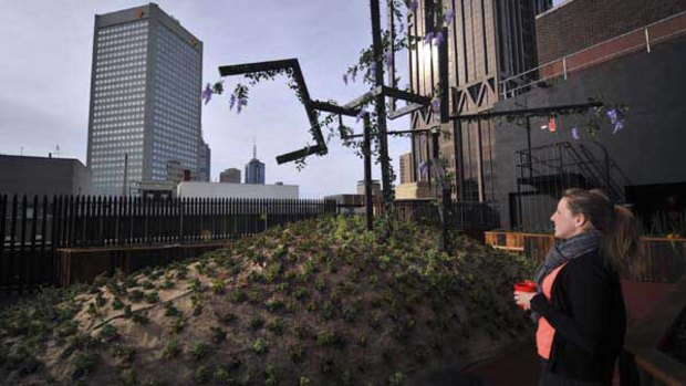 The rooftop garden at 131 Queen Street.