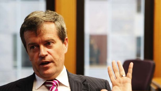 The party would be crazy to push for a leadership take over by Assistant Treasurer Bill Shorten before the election.