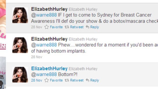 Liz Hurley and Shane Warne had plenty of Twitter corresponce on 28 November.
