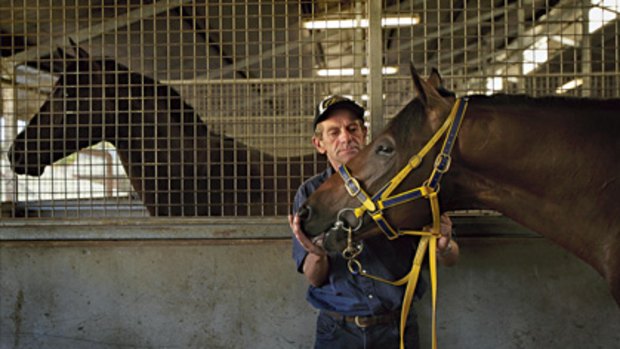 Expectations ... trainer Gerald Ryan with Hinchinbrook at Rosehill yesterday.