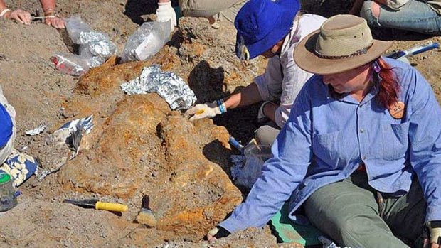 Researchers on a dinosaur dig near Winton, in outback Queensland.
