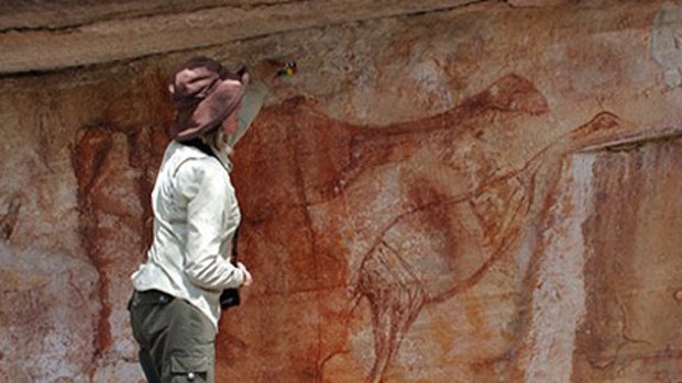 '40,000 years old' ... the rock art found in Arnhem Land that specialist Robert Gunn believes depicts the long-extinct genyornis.