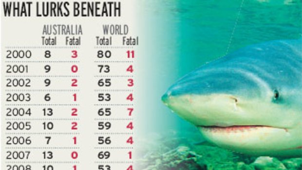 On the increase ... shark attacks.