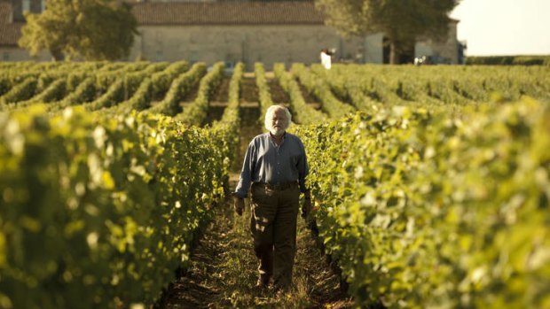 Niels Arestrup plays a charismatic,  combative patriarch in the wine industry.