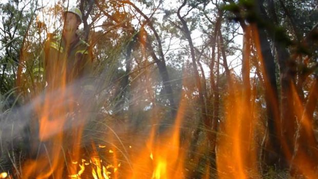 The Wilderness Society supports fuel reduction burning. But it believes a target of 5 per cent of Victoria burnt each year is simplistic.