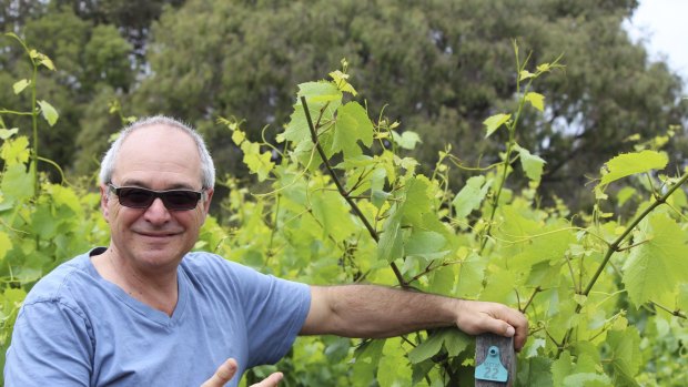 Will Berliner from Cloudburst has shaken up winemaking among the elite in Margaret River since his arrival.