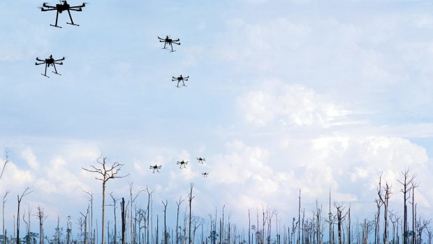 At the moment, the planet loses about six billion trees each year. Seed-planting drones may represent the most futuristic way to re-establish tree cover on a large scale. 