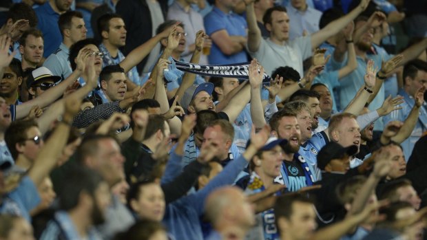 Passionate: Sydney FC supporters were in full voice - and displayed banners bearing messages aimed at critics of the game and its fans. 