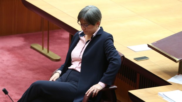 Labor senator Penny Wong delivered an emotional speech on same-sex marriage in the Senate.