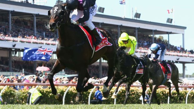 Punters fail to support Melbourne Cup winner Fiorente.