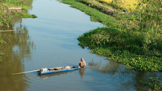A canoe on a river between the rice paddies, Mekong Delta, Chau Doc, Vietnam.