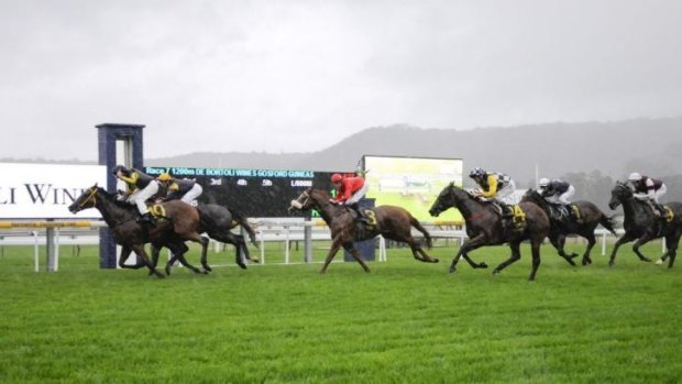 Made the cut: In Cahoots wins the Gosford Guineas on April 6.