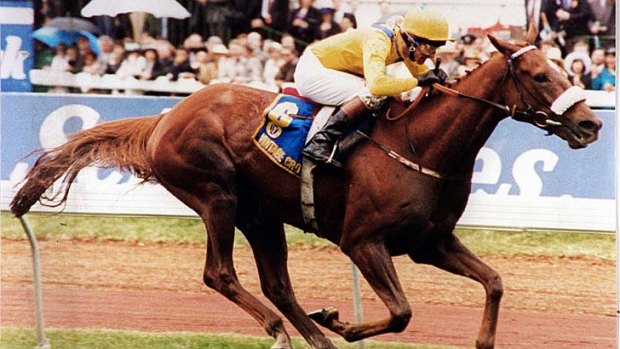 Game changer &#8230; Dermot Weld's 1993 winner Vintage Crop altered the face of the Melbourne Cup.