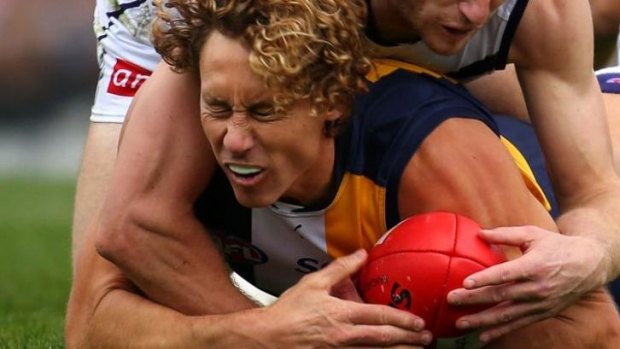 West Coast's Matt Priddis says the lack of Eagles effort against North Melbourne was "inexcusable".
