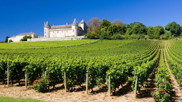 The beautiful Burgundy landscape.